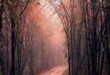 皇家贝蒂斯客场惨败巴塞罗那