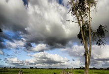 皇马擒胜：马竞黯然告终