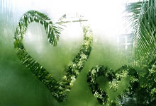 维罗纳球队汇聚力量备战下一轮比赛