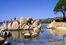 期待逆袭！欧洲预赛冠军争夺激燃进行